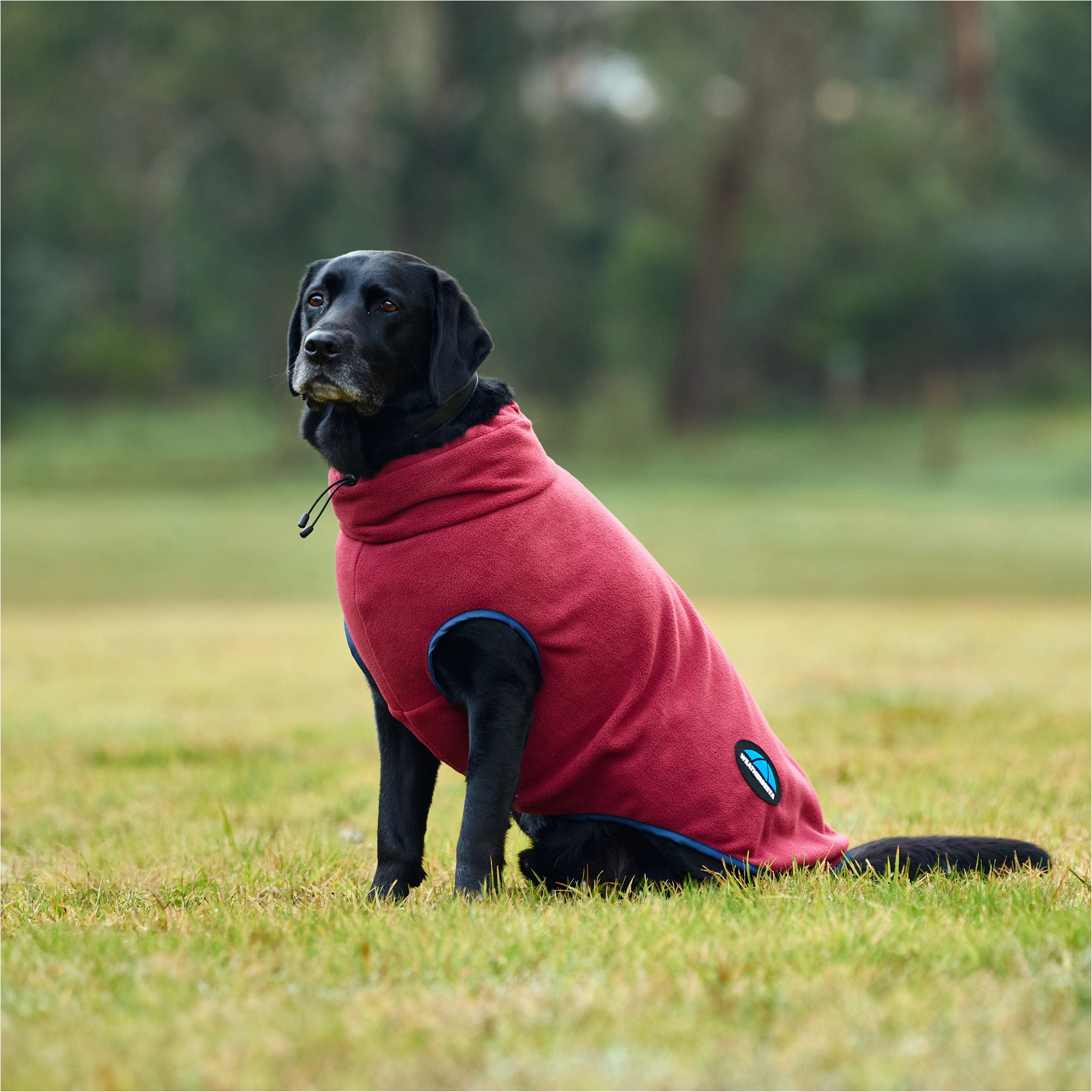 2025 Weatherbeeta Comfitec Fleece Zip Dog Coat 1003457 - Burgundy